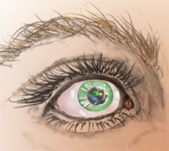 And eye with worlds in the pupil